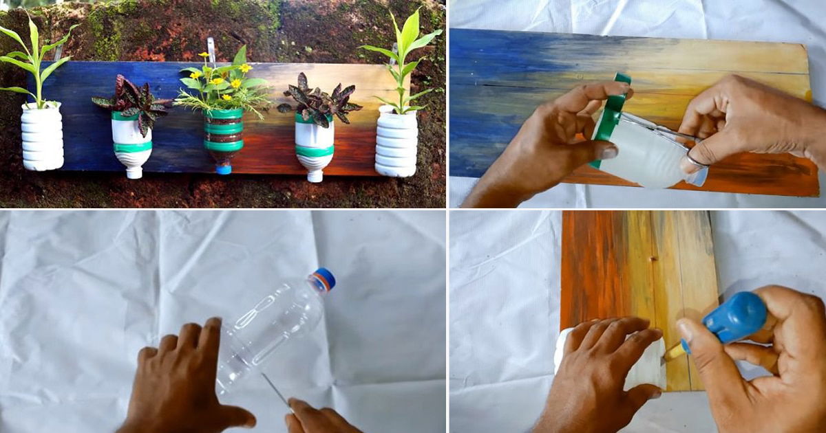 DIY Plastic Bottle Vertical Garden | Balcony Garden Web DIY Plastic Bottle Vertical Garden | Balcony Garden Web