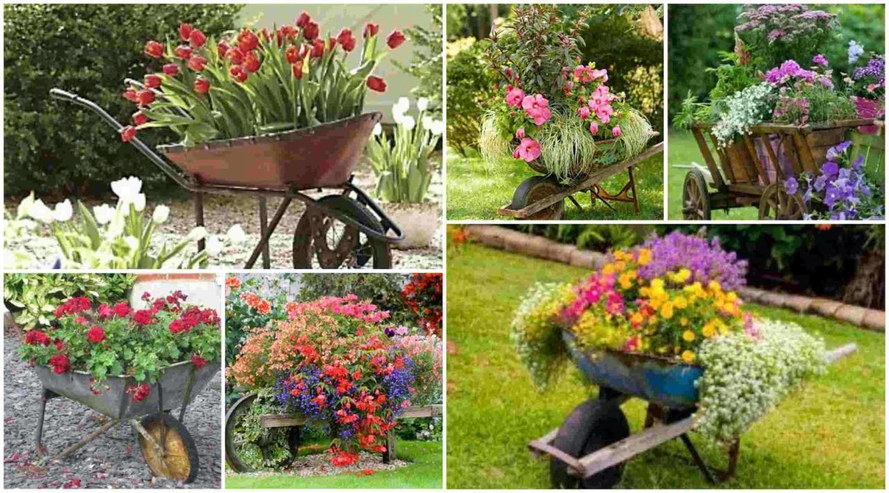 34 Way To Use That Old Wheelbarrow As A Planter | Cheap landscaping ... 34 Way To Use That Old Wheelbarrow As A Planter | Cheap landscaping ...