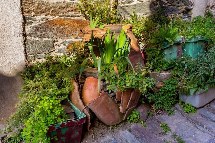 How To Repair Your Expensive Terra Cotta Pots // Reduce, Reuse, Recycle ... How To Repair Your Expensive Terra Cotta Pots // Reduce, Reuse, Recycle ...