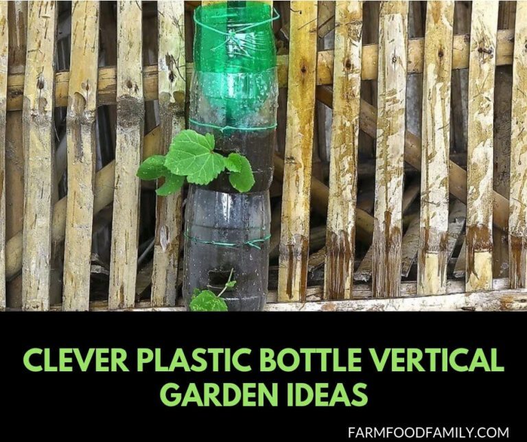 29+ Clever Plastic Bottle Vertical Garden Ideas - FarmFoodFamily 29+ Clever Plastic Bottle Vertical Garden Ideas - FarmFoodFamily