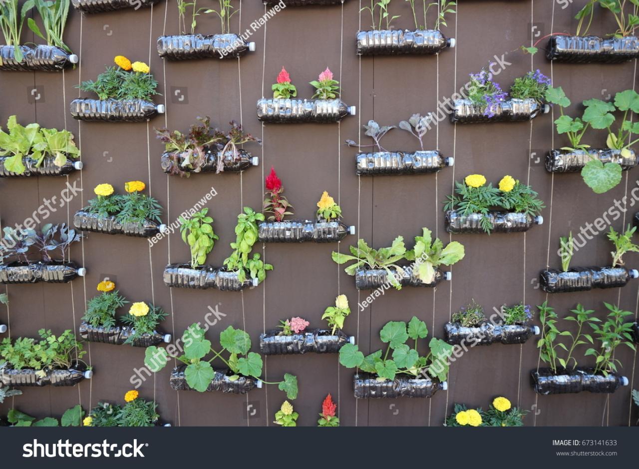 Idea Using Plastic Bottles Create Vertical Stock Photo (Edit Now) 673141633 Idea Using Plastic Bottles Create Vertical Stock Photo (Edit Now) 673141633