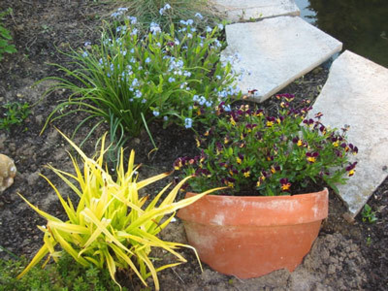 Frugal Gardening Tip 2: Re-use Broken Terracotta Pots | Terracotta pots ... Frugal Gardening Tip 2: Re-use Broken Terracotta Pots | Terracotta pots ...